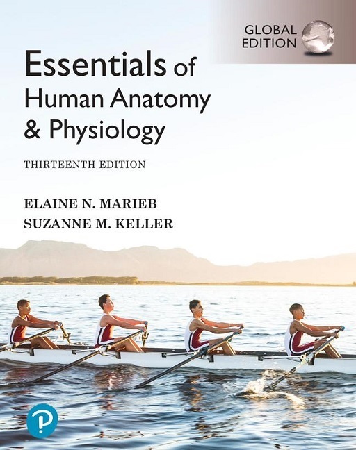 Essentials of Human Anatomy & Physiology, Global Edition (13th Edition) - Orginal Pdf